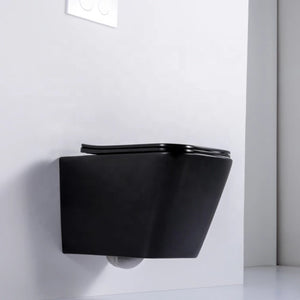 Hanging Wall Mounted Toilet Bowl Black with Wall Push Buttons.