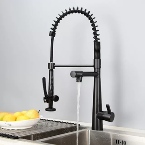 Arc Tall Pullout With Sprayer Elegant style