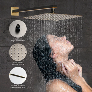 Black and Gold Shower 12inch Stainless steel Plates Wall shower