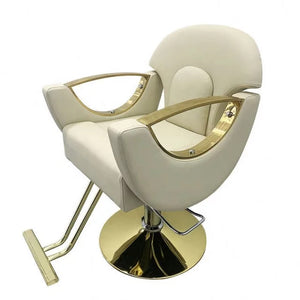 Stainless steel 360 degree rotatable chair for Salon