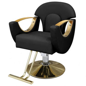 Stainless steel 360 degree rotatable chair for Salon