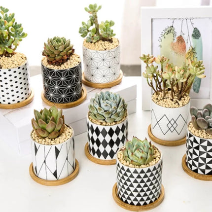 Geometric Pots Ceramic 4pcs per Box