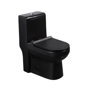 Black Matte Water Closet