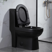 Load image into Gallery viewer, Black Matte Water Closet
