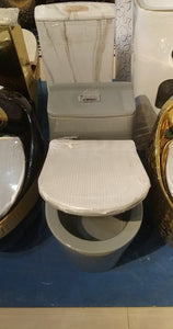 Grey ceramic Toilet