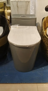 Grey ceramic Toilet