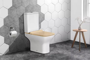 Washdown Floor Mounted Toilet Porcelain Toilet With Soft Closing Seat