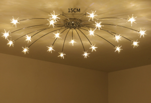 Bedroom Living Room Star Ceiling Mount Led Lights