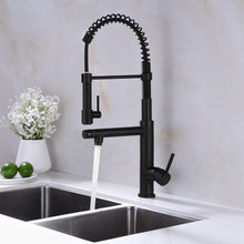 Load image into Gallery viewer, Kitchen Faucet Spring Arc Kitchen Faucet with Sprayer Bass Pull Down Black and Gold Kitchen Faucet
