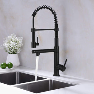 Kitchen Faucet Spring Arc Kitchen Faucet with Sprayer Bass Pull Down Black and Gold Kitchen Faucet