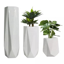 Lade das Bild in den Galerie-Viewer, Modern Home Decor Irregular Flower Vase Fiberglass Big Garden Plant Pots Flower Planter
