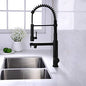 Kitchen Faucet Spring Arc Kitchen Faucet with Sprayer Bass Pull Down Black and Gold Kitchen Faucet