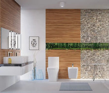 Lade das Bild in den Galerie-Viewer, Bathroom Floor Mounted Toilet Bowl American Conventional Microcrystalline Self-cleaning Glaze Ceramic One Piece Modern
