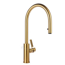 Load image into Gallery viewer, Sprayer Tap Brushed Brass Swivel Spout Gold Kitchen Faucet
