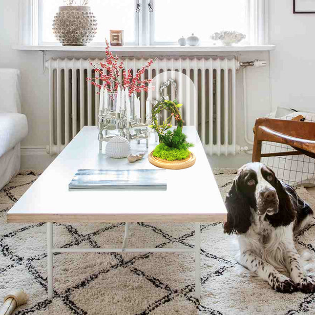 Preserved Roses Gift Decoration