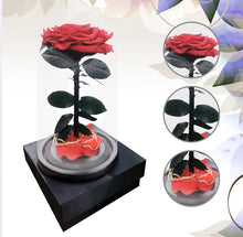 Load image into Gallery viewer, Preserved Roses Gift Decoration
