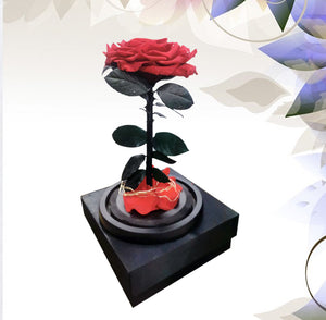 Preserved Roses Gift Decoration