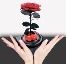 Load image into Gallery viewer, Preserved Roses Gift Decoration
