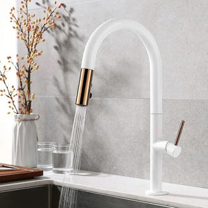 Square brass single handle health kitchen faucet mixer tap