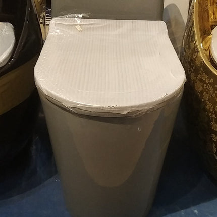 grey electroplated toilet
modern porcelain toilet bowl
luxury grey toilet wc
designer bathroom toilet
electroplated bathroom toilet
modern sanitary ware toilet
premium porcelain wc toilet
luxury bathroom toilet bowl